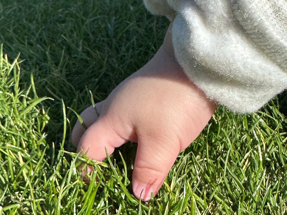  a baby hand, touching grass
